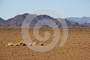 Desert landscapes with mountains in the south of Namibia. The dry season, dry vegetation