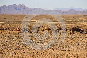 Desert landscapes with mountains in the south of Namibia and two inconspicuous yellow birds. The dry season photo