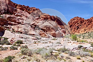 Desert Landscapes, Red Rock Canyon Conservation Park, Nevada, USA