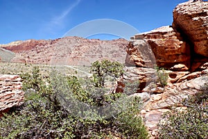 Desert Landscapes, Red Rock Canyon Conservation Park, Nevada, USA