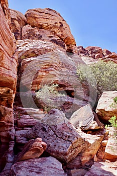 Desert Landscapes, Red Rock Canyon Conservation Park, Nevada, USA