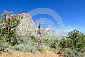 Desert Landscapes, Red Rock Canyon Conservation Park, Nevada, USA