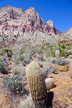Desert Landscapes, Red Rock Canyon Conservation Park, Nevada, USA