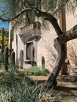 Desert landscaping, Pima County Courthouse