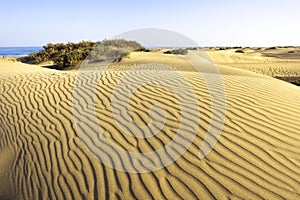 Desert Maspalomas Gran Canaria