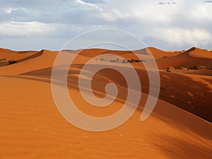 Desert at Merzouga