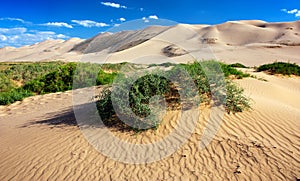 Desert - mongolia photo