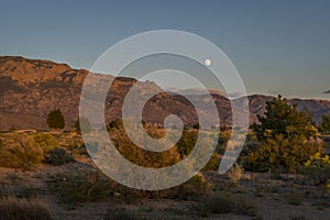Desert moon photo