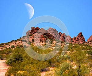 Desert Moon photo