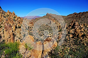 Desert mountain and cactus at Big Bend National Park under blue sky