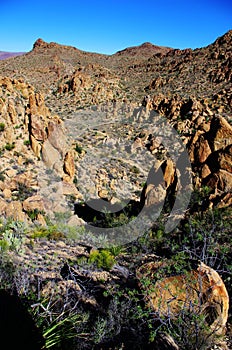 Desert mountain and cactus at Big Bend National Park under blue sky