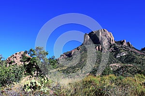 Desert mountain and cactus at Big Bend National Park under blue sky