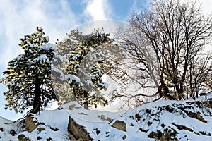 Desert Mountain Cliff, Climate Change at Southern California, Bi