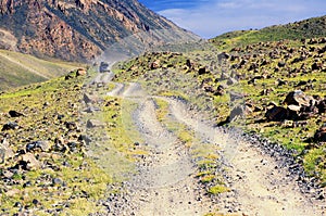 Desert mountain road in Mongolia