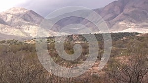 Desert mountains Panorama