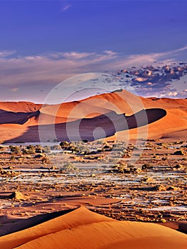 Desert of namib with orange dunes