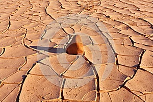 The desert of National park Dead Walley