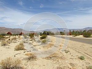 Desert near Galleta Meadows in Borrego Springs California photo