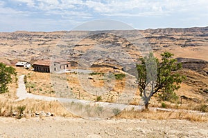 The desert near Georgia-Azerbaijan border