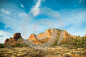 Desert near Phoenix, Arizona.