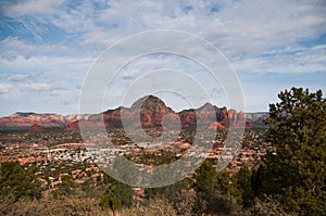 Desert near Phoenix, Arizona.