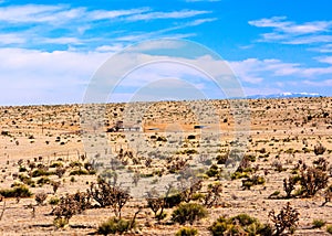 Desert of New Mexico. photo