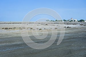 Desert in the north of Qatar