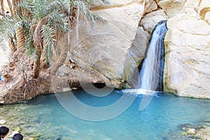 Desert Oasis, Chebika, Tunisia