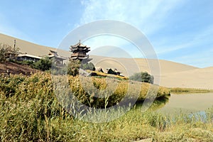 Desert Oasis in Dunhuang