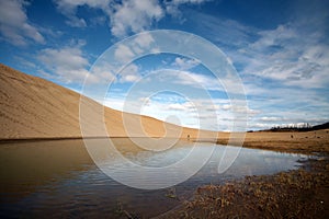Desert oasis under blue sky