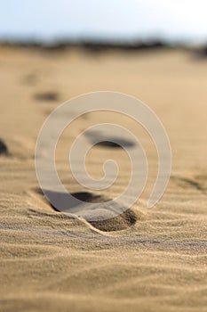 Desert. Oleshki sand texture with footprints. Kilometers of dunes, fixed by special plants and thorny bushes.  Travel hike walk,ex