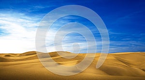 Desert panorama of the dunes