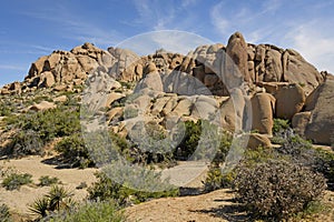 Desert Panorama on a Spring Day