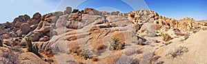 Desert Panoramic Image