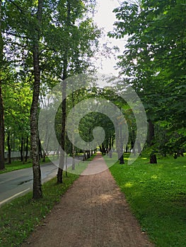 Desert pedestrian path along the road in summer sunny park going into the distance