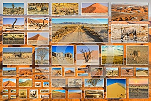 Desert pictures collage