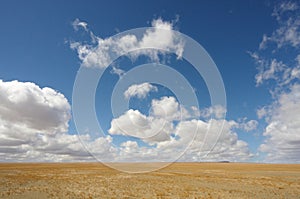 Desert plain under a blue sky