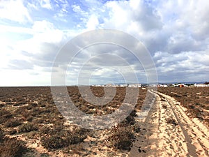 A desert plain view with deep sand and lifeless drained barbed bushes