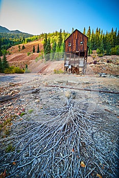 Desert plant in the mountains with old mining building in background