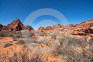 Desert plants around the red aztec sandstone rock formations at Valley of Fire State Park