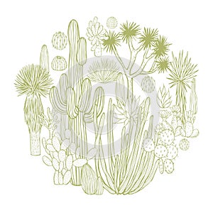 Desert plants, cacti in a circle. Vector sketch  illustration