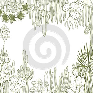 Desert plants, cacti. Vector background.