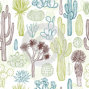 Desert plants, cacti. Vector pattern