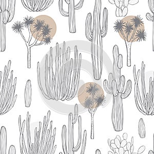 Desert plants, cacti. Vector  seamless pattern