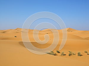 Wüste nach der Regen 