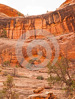 Desert red sandstone cliff with tree and arch