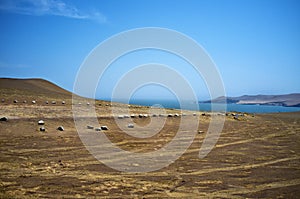 Desert - Reserva National de Paracas national park in Ica Peru, South America