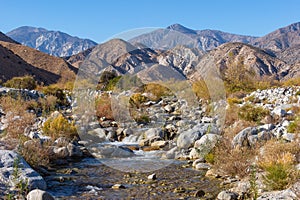 Desert river flowing at Whitewater Preserve