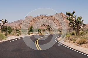 Desert road