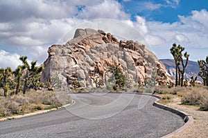 Desert road along Joshua trees and rocks in Joshua Tree National Park California